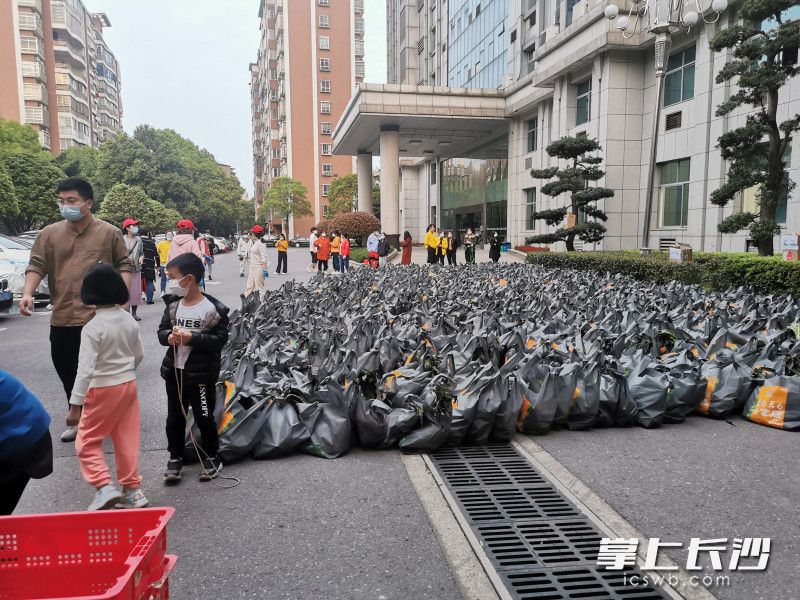 780份蔬菜包送到了湘林小區(qū)院內(nèi)。長沙晚報實習生 羅楊 攝